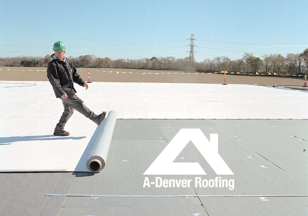 TPO roofing installation on a commercial building in Denver Colorado