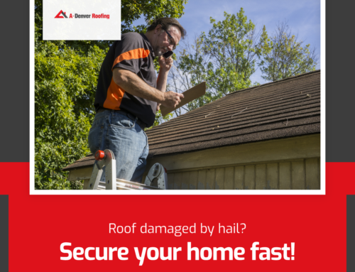 Protect Your Home: How to Identify and Address Hail Damage
